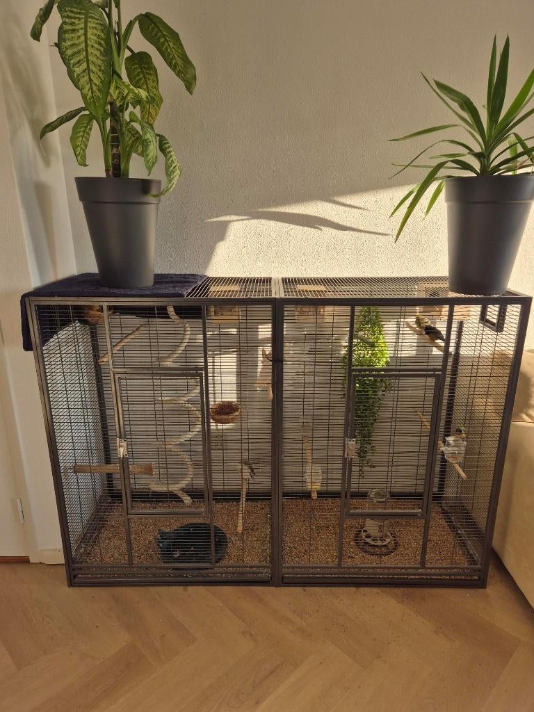 Binnen volière / kooi, Dieren en Toebehoren, Ophalen of Verzenden, Zo goed als nieuw, Aluminium, Volière