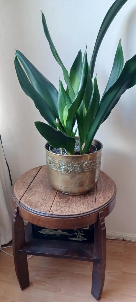 Oude koperen bloempot, Ophalen of Verzenden, Gebruikt