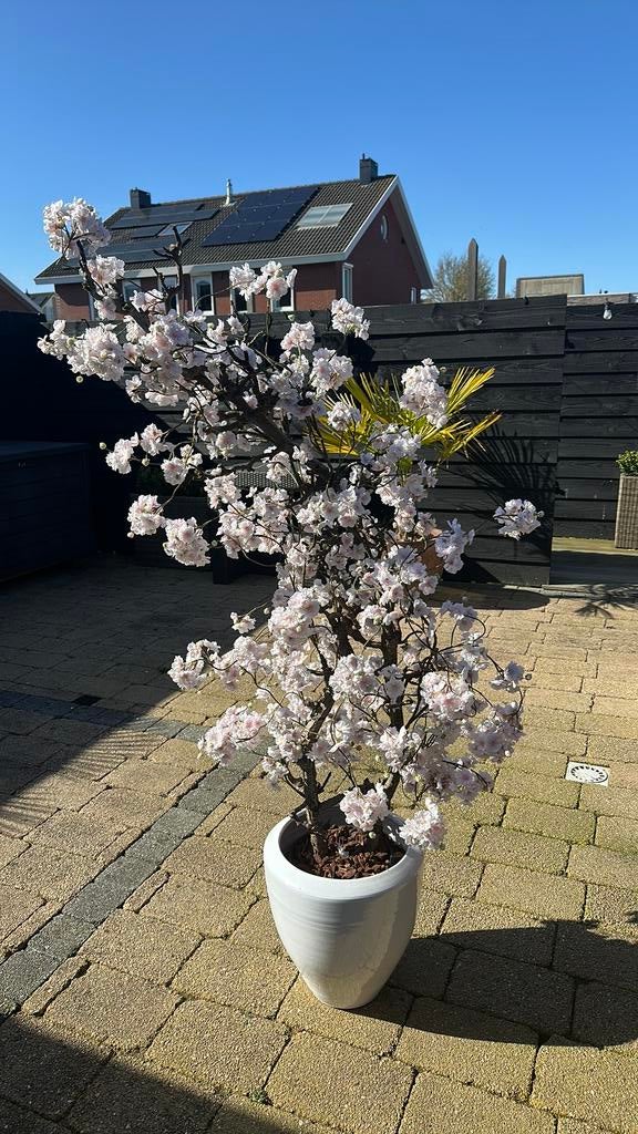 Kunst plant blossom, Huis en Inrichting, Woonaccessoires | Kunstplanten en Kunstbloemen, Ophalen