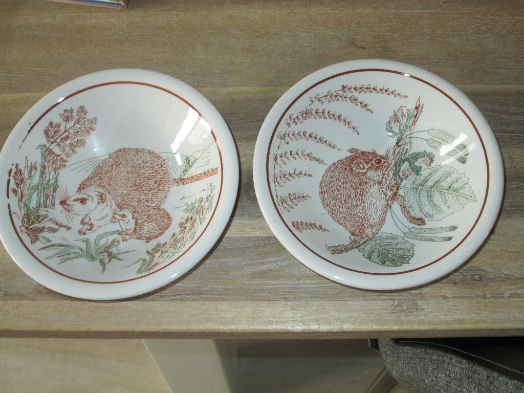 2 schaaltjes John Tams limited, Nieuw, Ophalen of Verzenden, Bord(en), Wedgwood