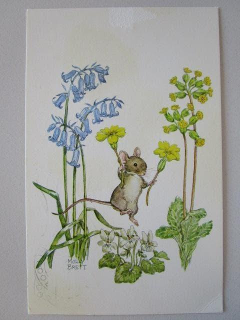 12 Kaart medici konijn in bloem, Verzenden, 1980 tot heden, Gelopen, Overige thema's