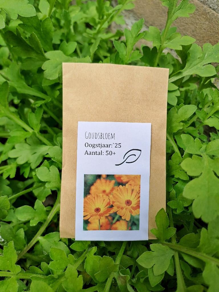 Biologische goudsbloem zaden (eetbaar), Ophalen of Verzenden, Gehele jaar, Volle zon, Zaad