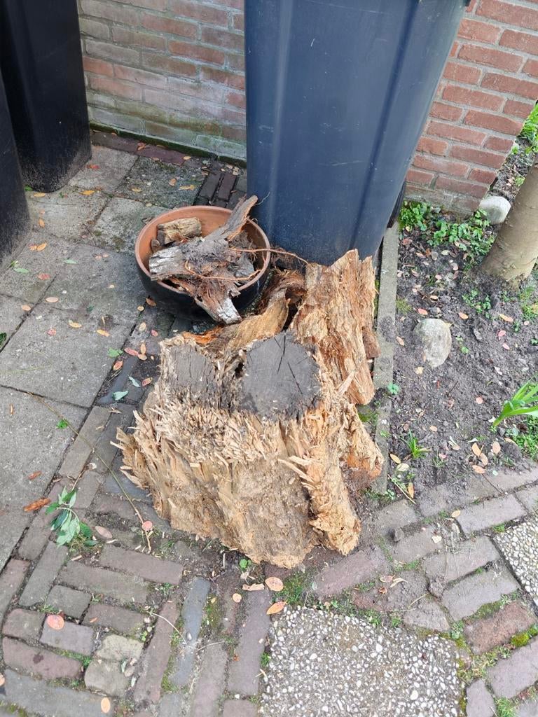 Rest hout (vuur/kachel/kunst etc), Tuin en Terras, Haardhout, Minder dan 3 m³, Ophalen