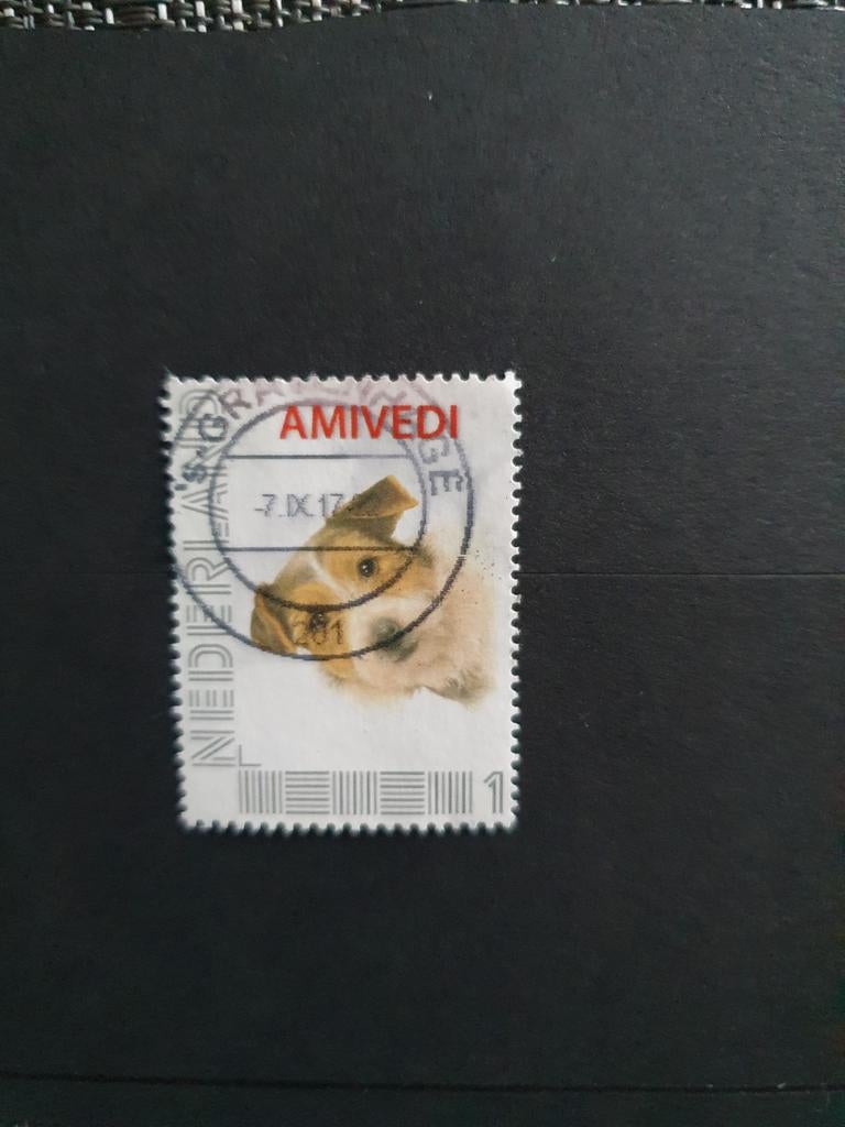 AMIVEDI Hond Jack Russel, Ophalen of Verzenden, Na 1940, Gestempeld