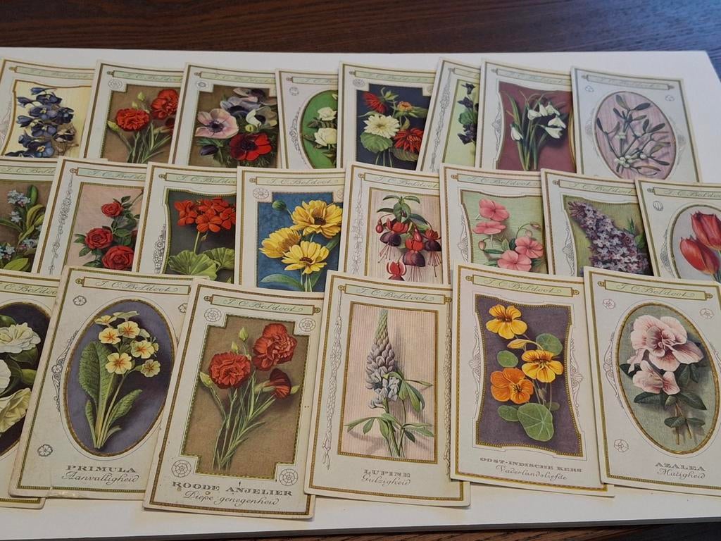 Boldoot kaartjes / spaarkaarten album De Taal der bloemen, Ophalen of Verzenden, Zo goed als nieuw, Overige typen