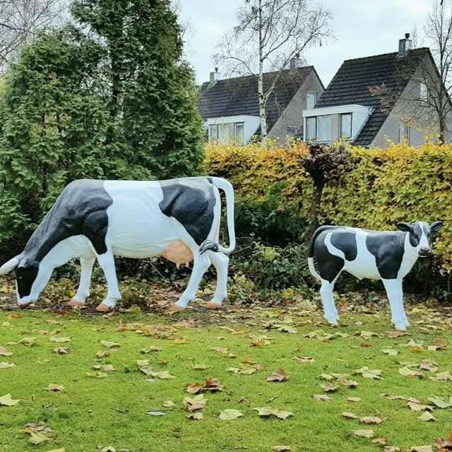 Koe beeld, polyester geit, varken, lammetje, kalf beeld, Ophalen, Nieuw, Kunststof, Dierenbeeld