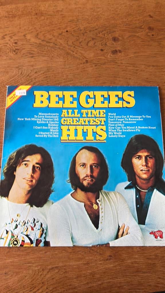 Lp the beegees, Ophalen of Verzenden, Gebruikt, 12 inch, Pop