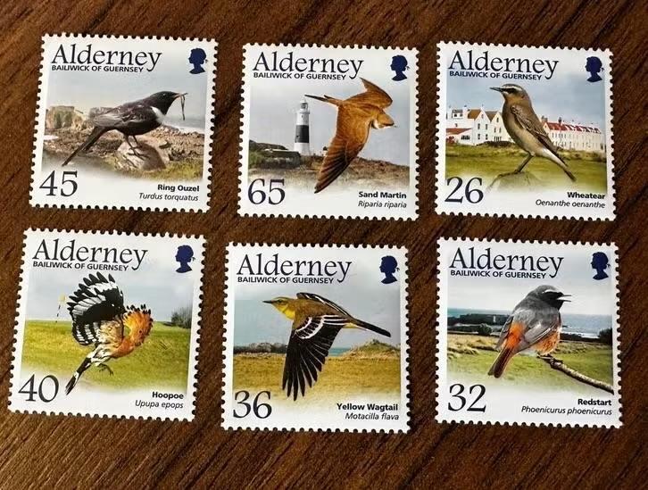 Alderney 2004 postfris vogels, Ophalen of Verzenden, Postfris