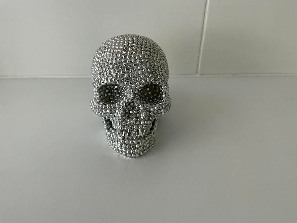 Zilverkleurige skull, Ophalen of Verzenden, Zo goed als nieuw