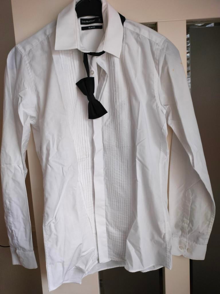 Heren Blouse - Cedar Wood State, Wit, Ophalen of Verzenden, Zo goed als nieuw, Cedar Wood State