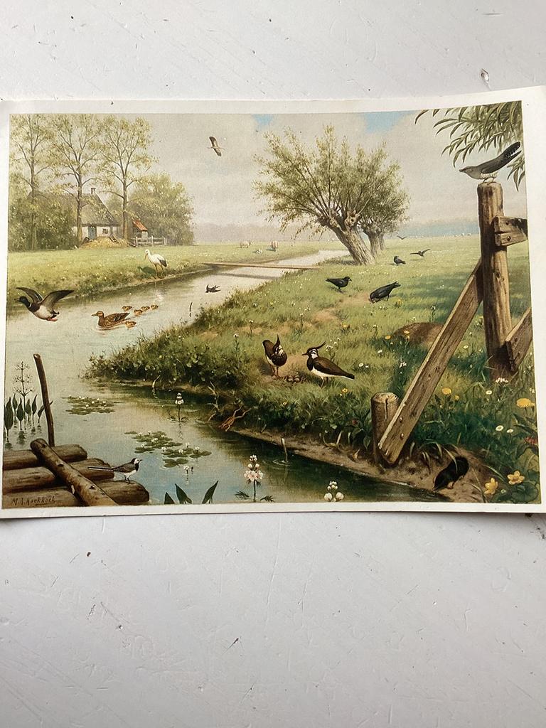 Ansichtkaart M.A. Koekkoek - In de weide, Verzenden, Ongelopen