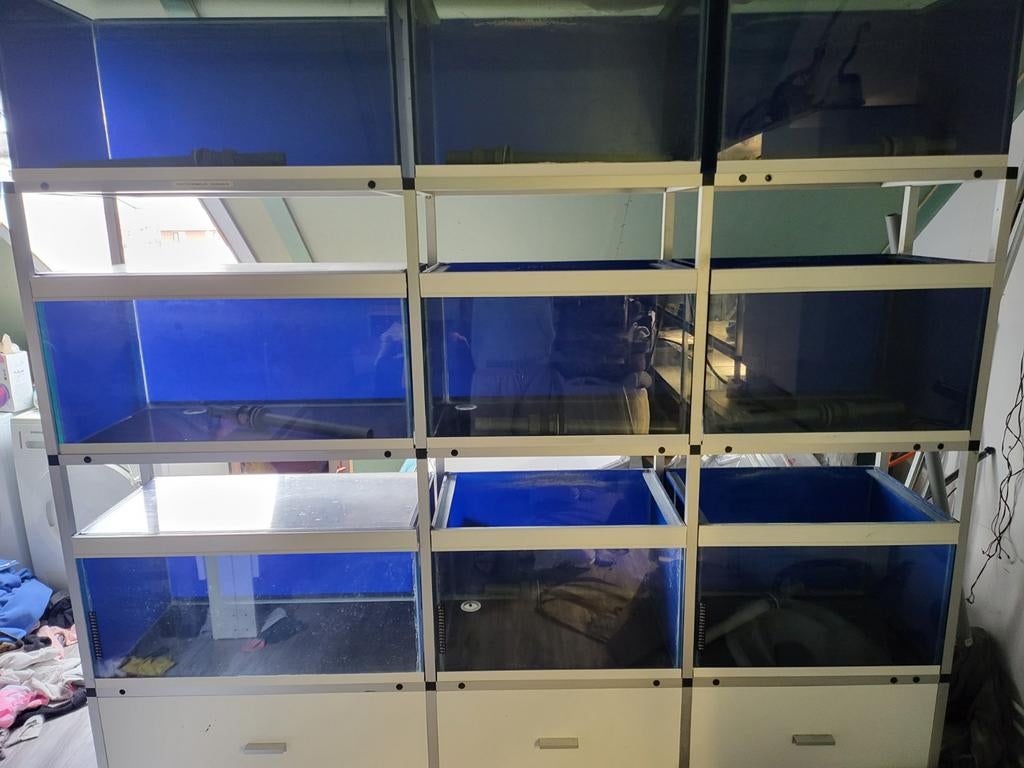 Aquarium stelling, Dieren en Toebehoren, Vissen | Aquaria en Toebehoren, Ophalen, Gebruikt