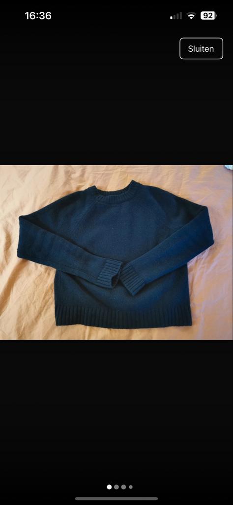 Trui jason yakwol sezane, Ophalen of Verzenden, Zo goed als nieuw, Maat 36 (S), Blauw