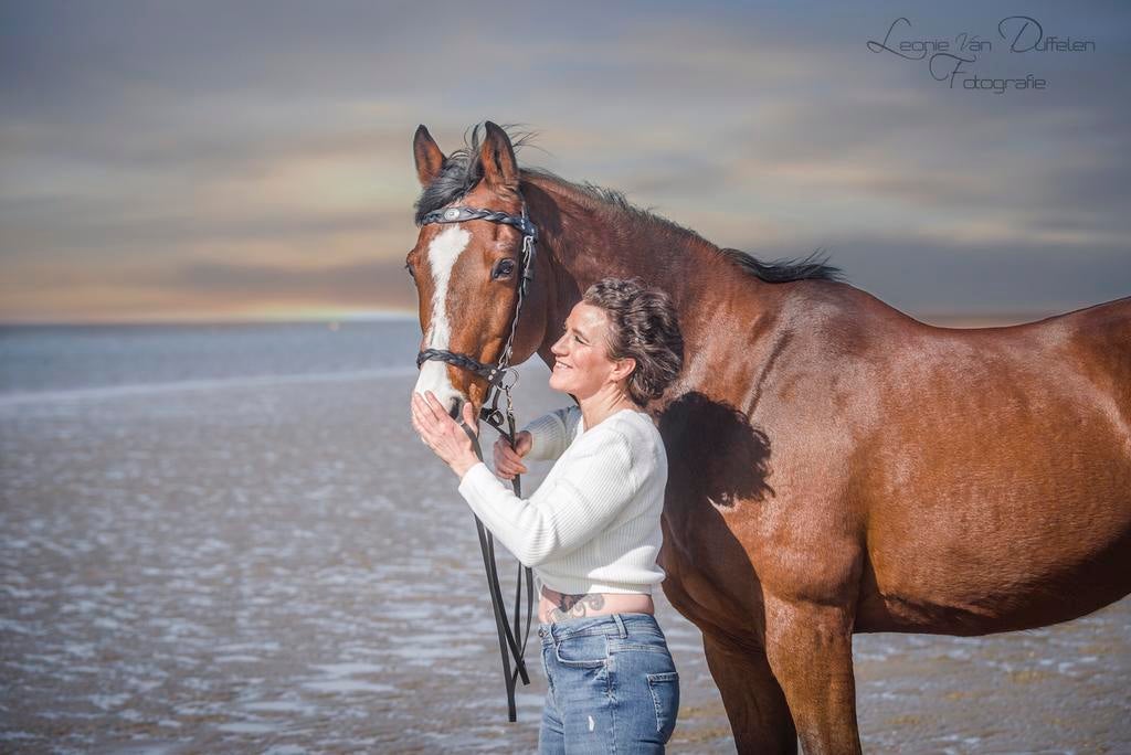 Ervaren paarden/katten/kippen/knaagdieren oppas Rockanje eo