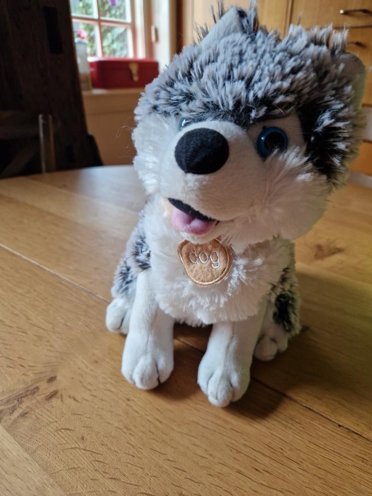 HUSKI PLUCHE HOND, Ophalen of Verzenden, Hond