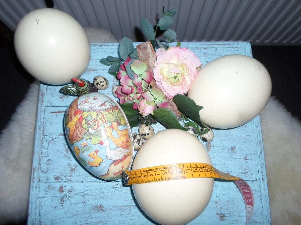 STRUIS VOGEL EIEREN ENORM DECORATIEF., Ophalen of Verzenden