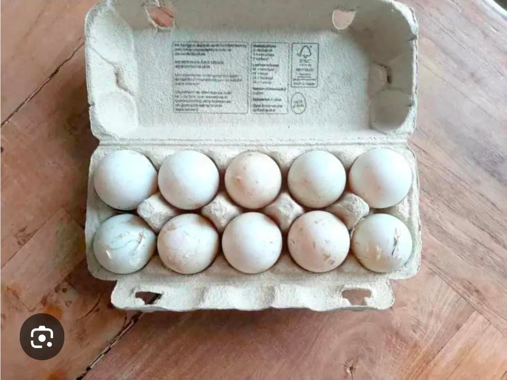 Eendeneieren, Diversen, Levensmiddelen, Ophalen