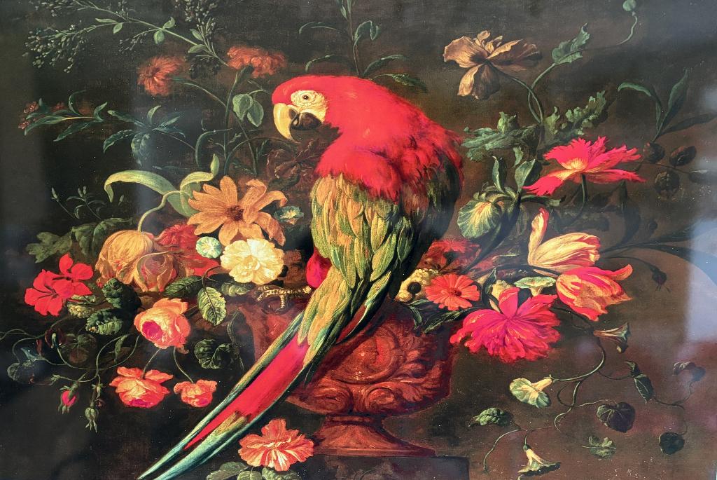 Kunstwerk Papegaai en bloemen. Dibond schilderij., Ophalen, Overige typen, Zo goed als nieuw, 100 tot 125 cm