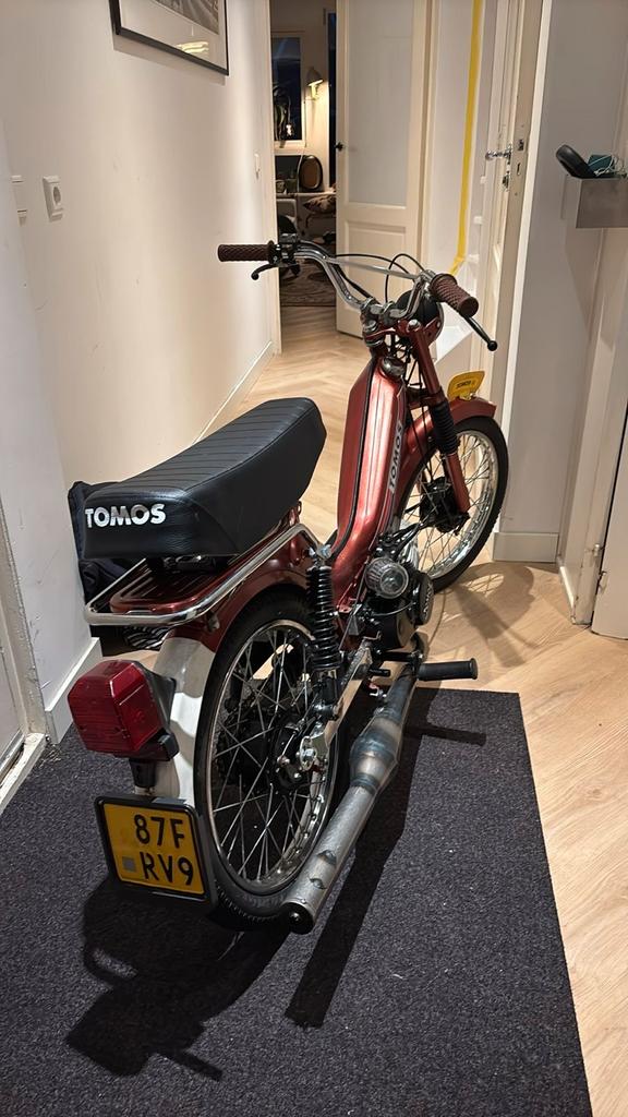 Tomos 65 cc geel kenteken, Ophalen, Gebruikt, Overige modellen, Maximaal 45 km/u