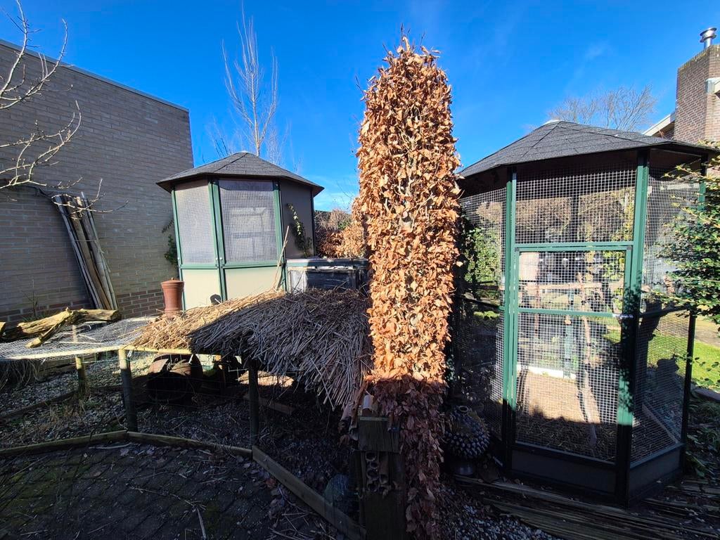 Aluminium volière (1 geheel) 2 grote volières + ingang, Ophalen