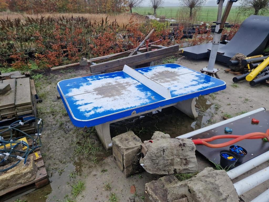 Tafeltennistafel (beton), Sport en Fitness, Tafeltennis, Ophalen, Gebruikt, Tafel Indoor