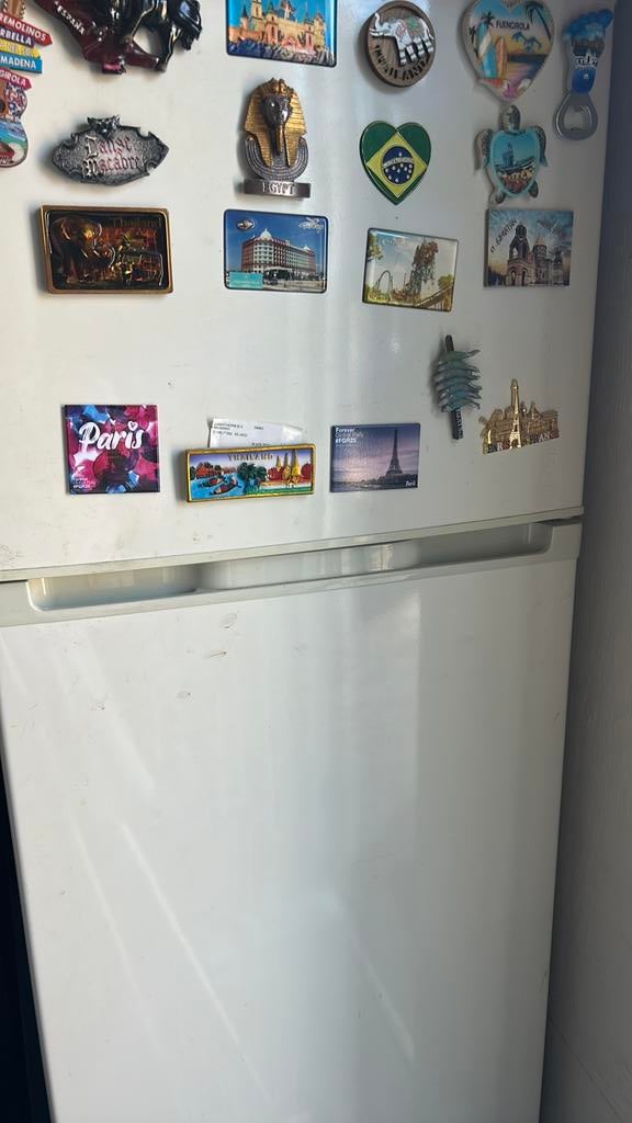 Koelkast en diepvries, Witgoed en Apparatuur, Koelkasten en IJskasten, 200 liter of meer, Ophalen, Gebruikt, 160 cm of meer