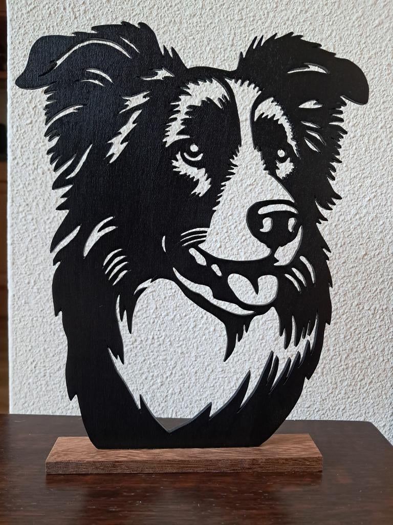 Border collie, Ophalen of Verzenden