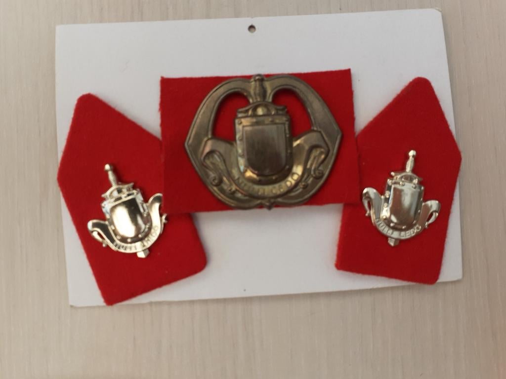 Kraagspiegels en baretembleem  : Genie, Verzamelen, Militaria | Algemeen, Ophalen of Verzenden, Landmacht, Nederland, Embleem of Badge