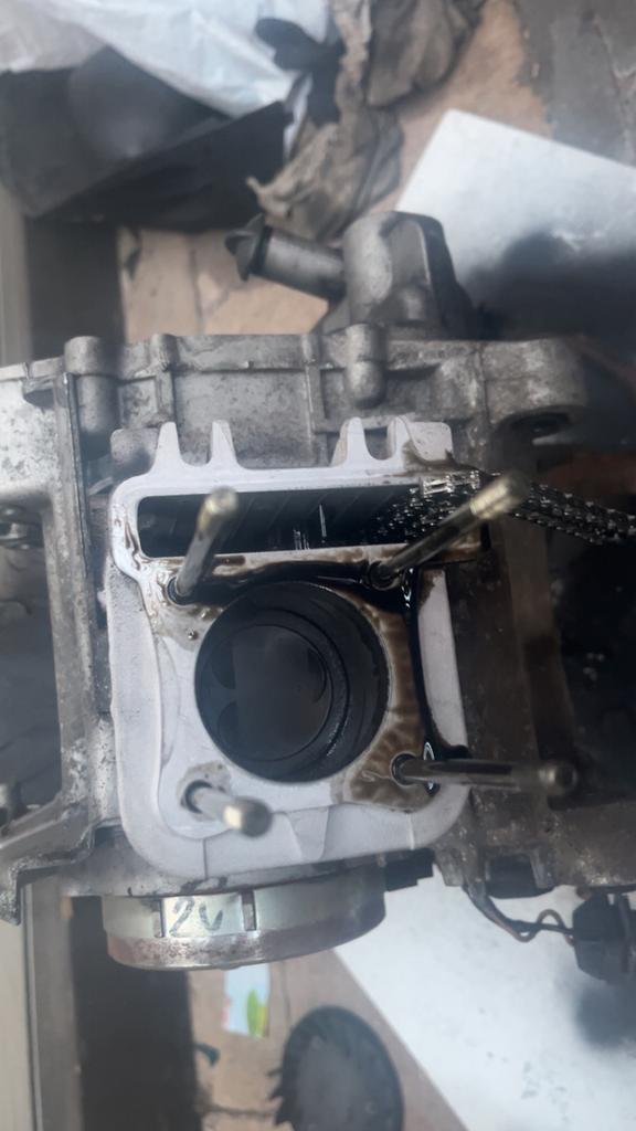 Malossi 80cc cilinder, Ophalen of Verzenden, Nieuw