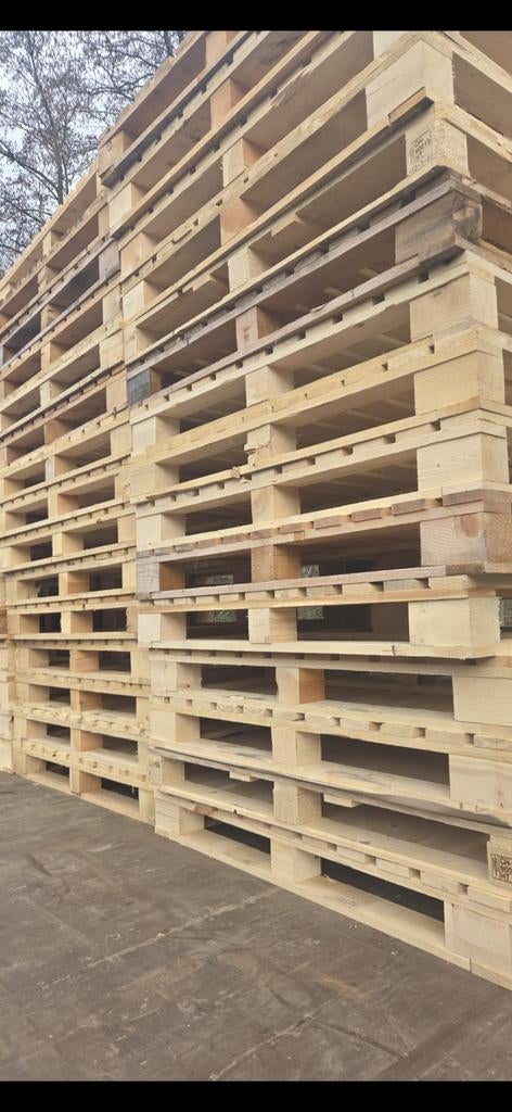 Grote vlonder pallets Stevige pallets europallets 80x120, Ophalen, 50 mm of meer, Pallet, Minder dan 200 cm