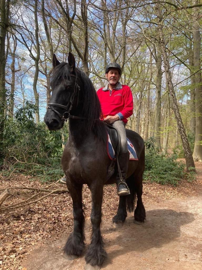 te lease: Hendrik, Verzorging of Verzorgpony's