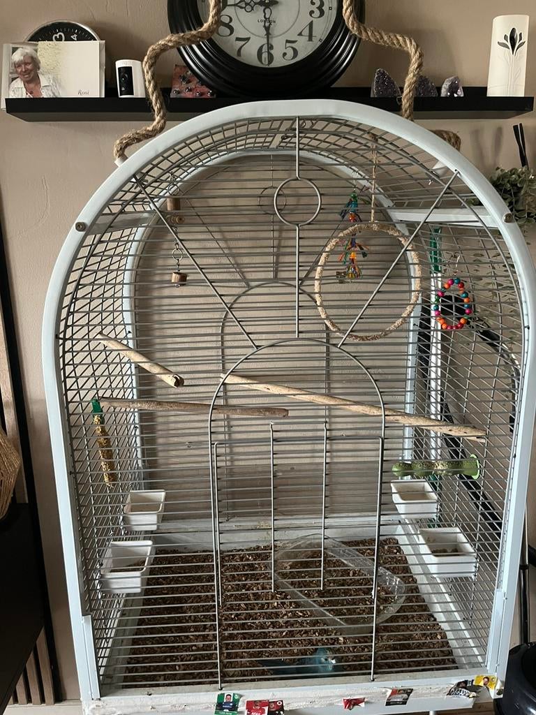 Kakariki, Dieren en Toebehoren, Vogels | Hokken en Kooien, Zo goed als nieuw, Vogelkooi, Hout, Ophalen of Verzenden