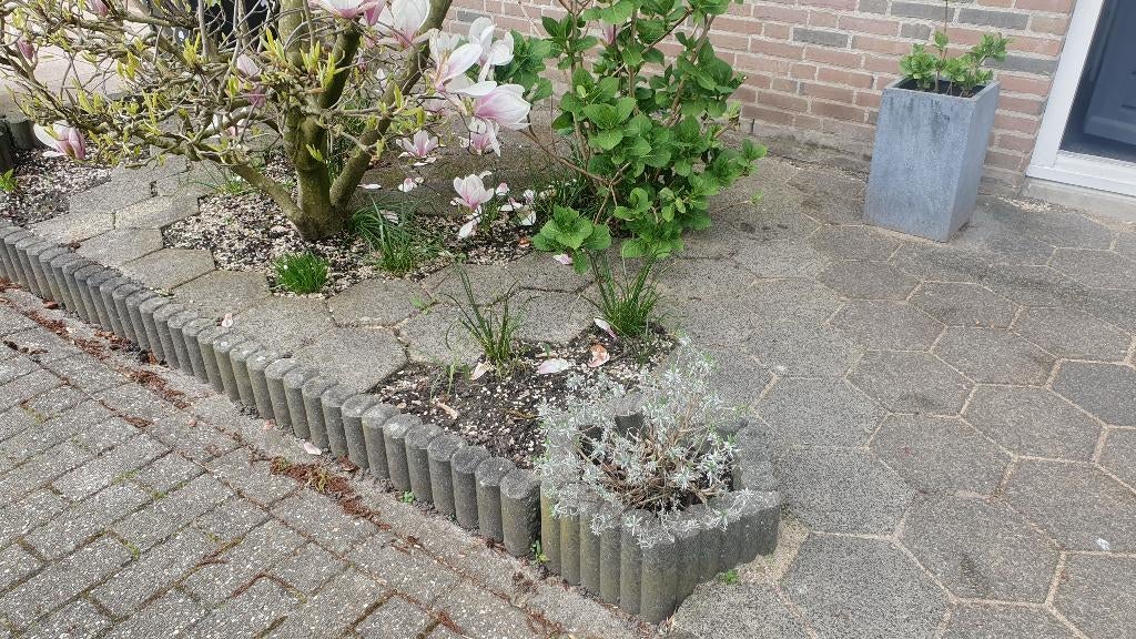 GRATIS 132 Tuintegels zeshoekig, 5m Rondoband, 2x Plantenbak, Ophalen, Gebruikt, 5 tot 10 m², Beton