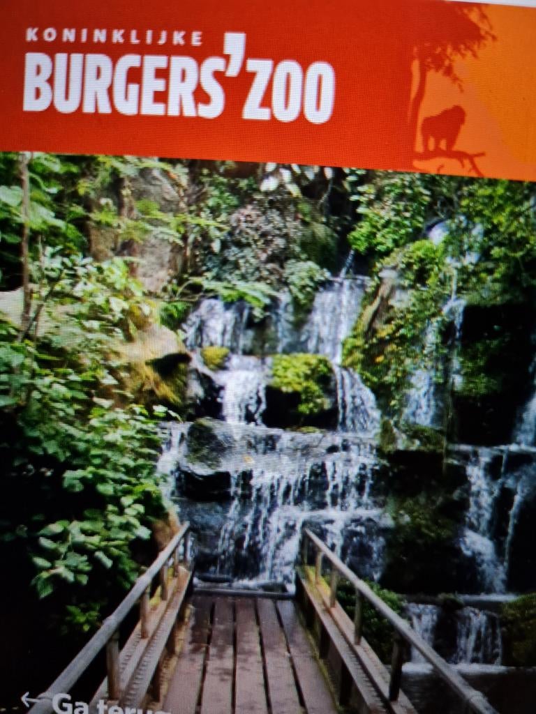 Burgers'zoo 4 e-tickets, Tickets en Kaartjes, Drie personen of meer, Ticket of Toegangskaart