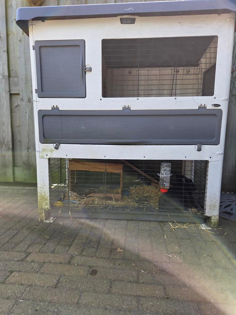 Konijn,  incl hok en toebehoren, Ophalen, Hok, Konijn, Minder dan 60 cm