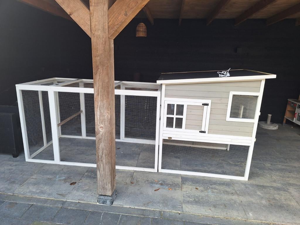 Binnenkort waarschijnlijk konijnen dus zoeken niet meer.., Meerdere dieren, Dwerg