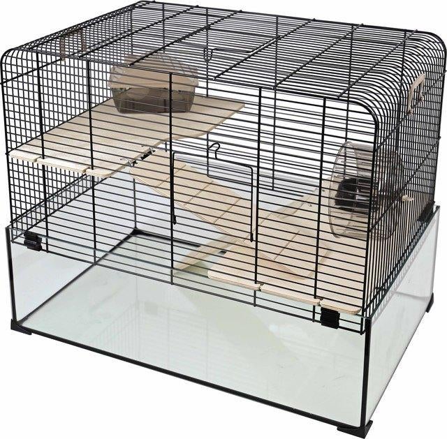 Complete hamsterset - hamster met kooi en alle toebehoren, Kooi, Hamster, Ophalen, Minder dan 60 cm