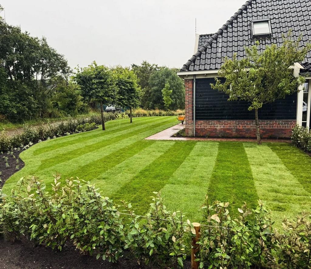 Verse graszoden Heemskerk, Tuin en Terras, Gras en Kunstgras, Ophalen, Nieuw, 20 m² of meer, Gras