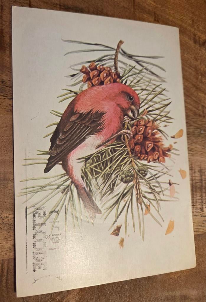 Kruisbek, Verzenden, 1980 tot heden, Gelopen, Vogel