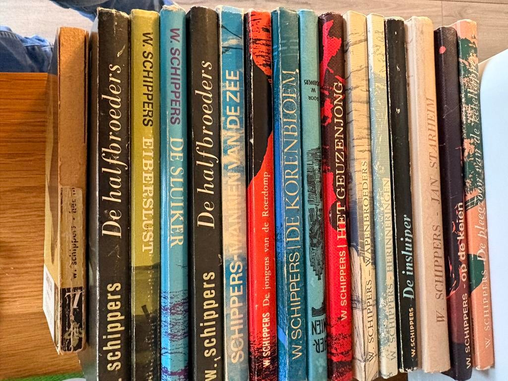 W. Schippers Boeken - 16 stuks, 15 titels, Boeken, Ophalen of Verzenden, Gelezen, Nederland