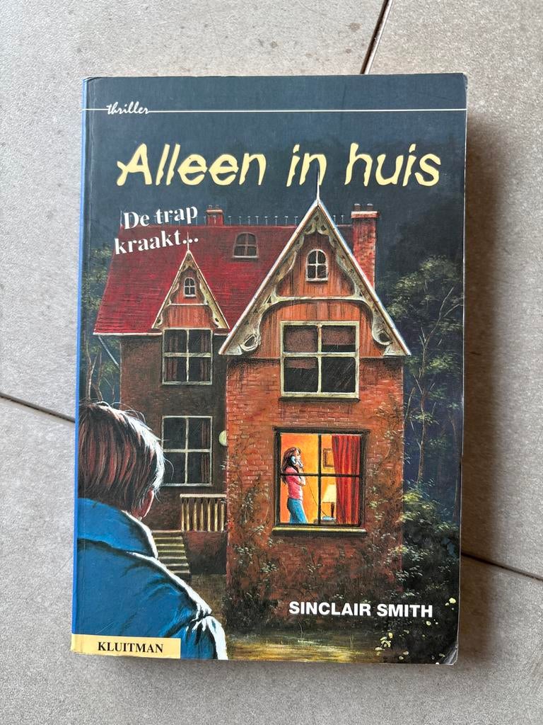 Alleen in huis - Sinclair Smith, Boeken, Ophalen of Verzenden, Gelezen, Nederland