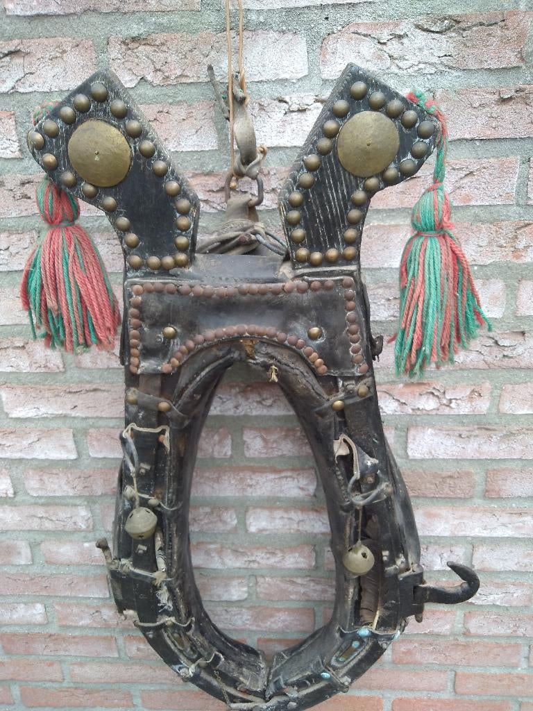 haam, Ophalen of Verzenden, Gebruikt, Overige soorten