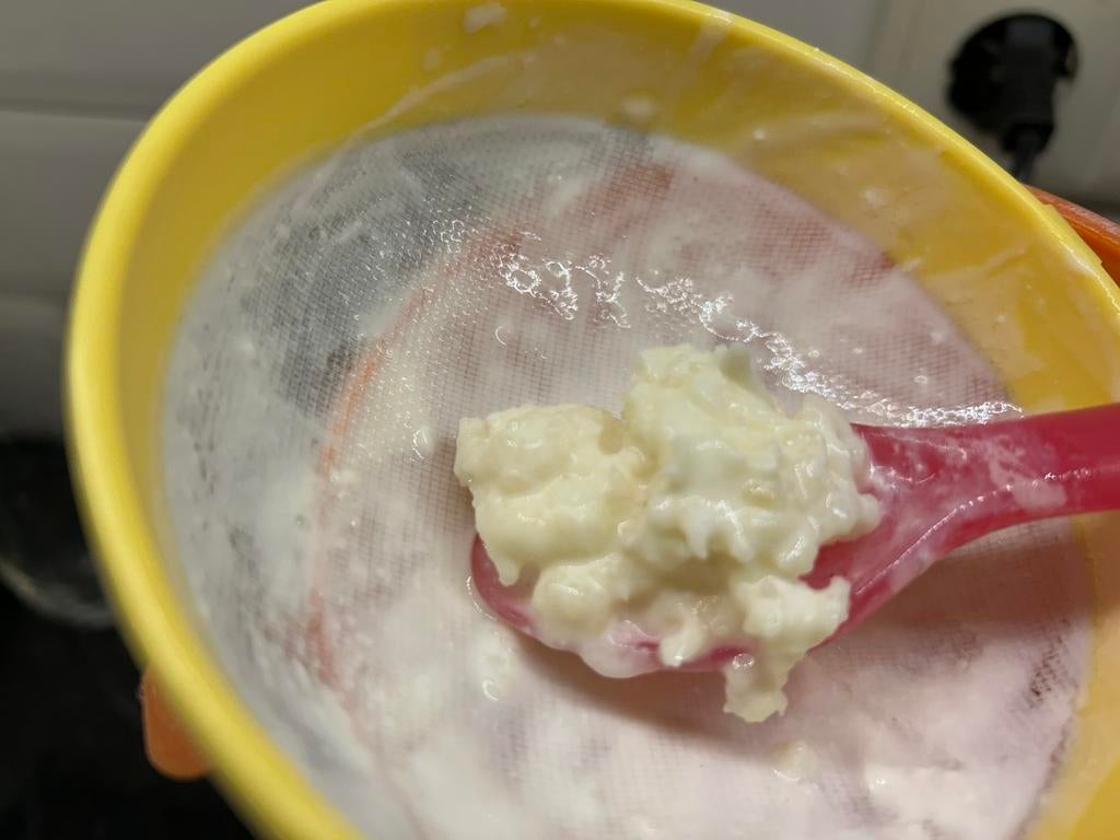 Melk kefir korrels, Diversen, Ophalen of Verzenden