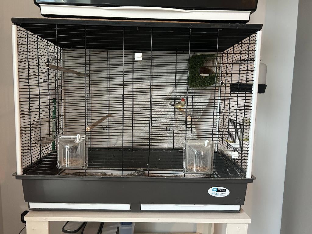 Ferplast vogelkooi (complete set), Dieren en Toebehoren, Vogels | Hokken en Kooien, Ophalen, Nieuw, Metaal, Vogelkooi