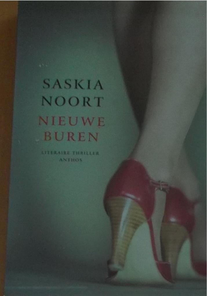 Nederlandse literaire thrillers Saskia Noort, v.d.Wetering, Ophalen of Verzenden, Zo goed als nieuw, Saskia Noort, Nederland