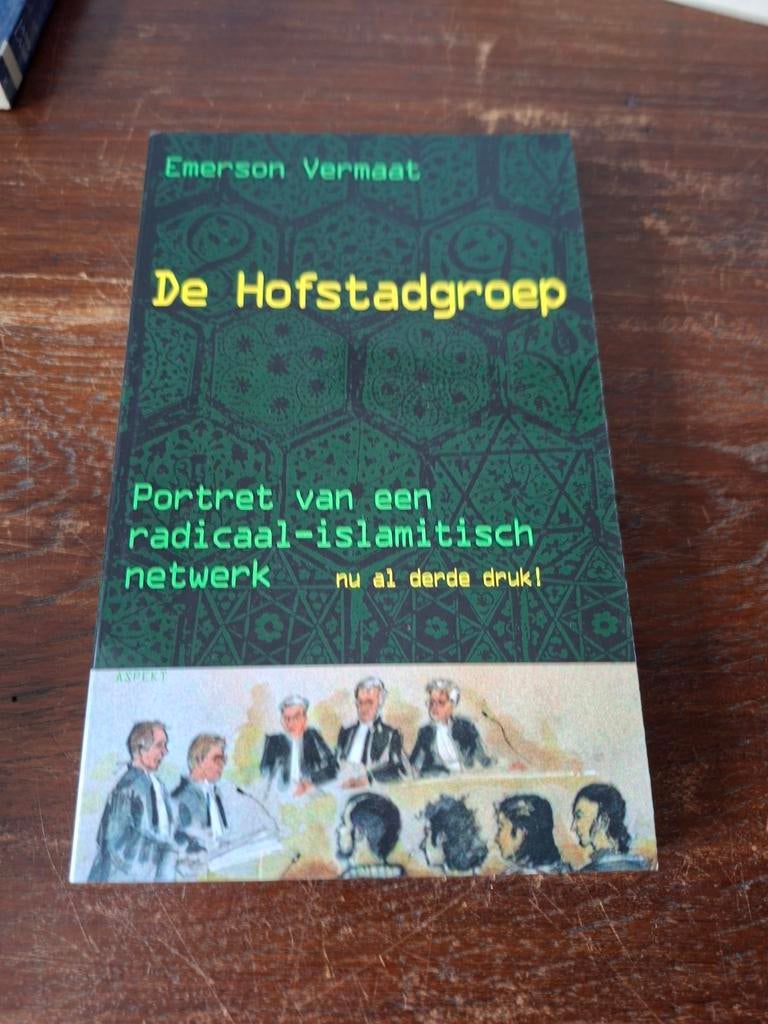 De Hofstadgroep - Emerson Vermaat, Boeken, Ophalen of Verzenden