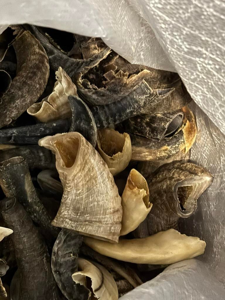 Ramshoorn, Ophalen, Hond