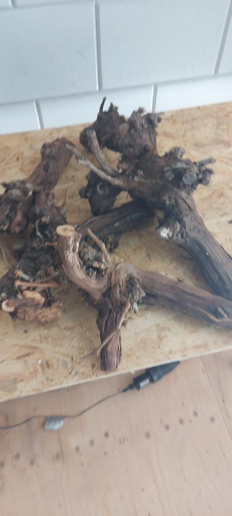 Druivenstokken voor de sier, Ophalen, Minder dan 100 cm, Overige soorten, Zomer