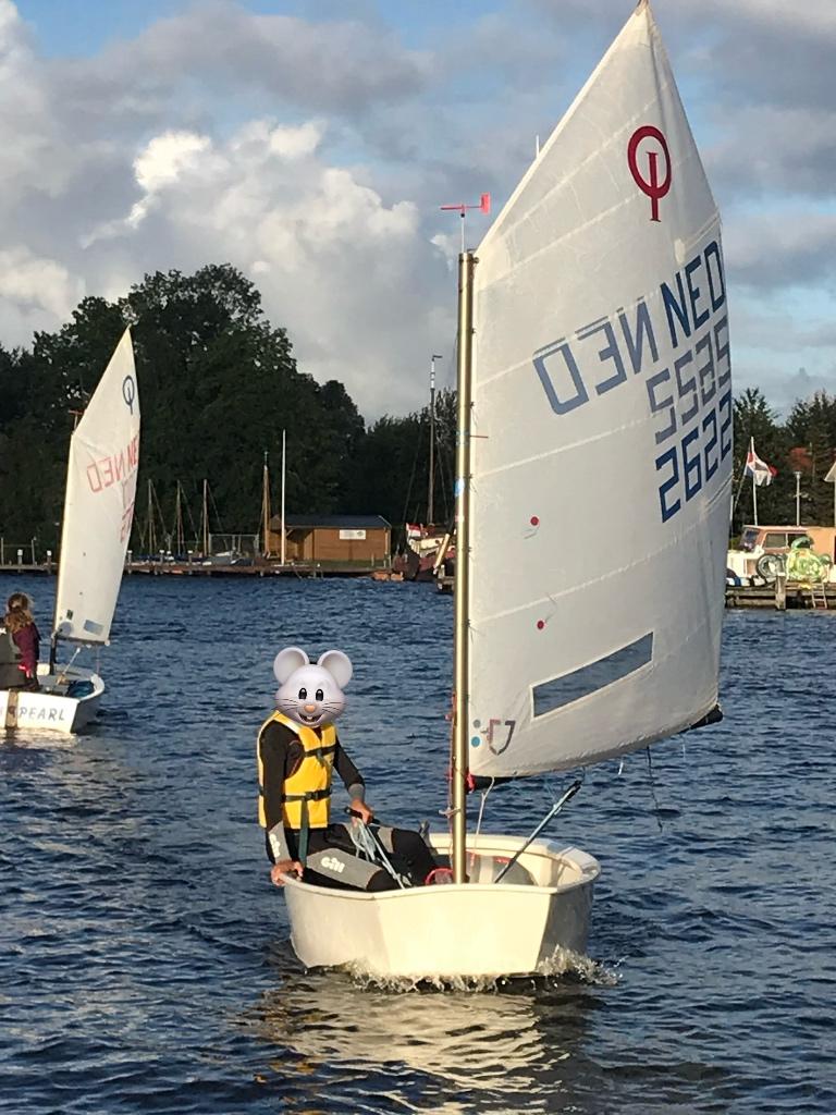 Optimist, Watersport en Boten, Gebruikt, Minder dan 15 m², Overige typen, Ophalen