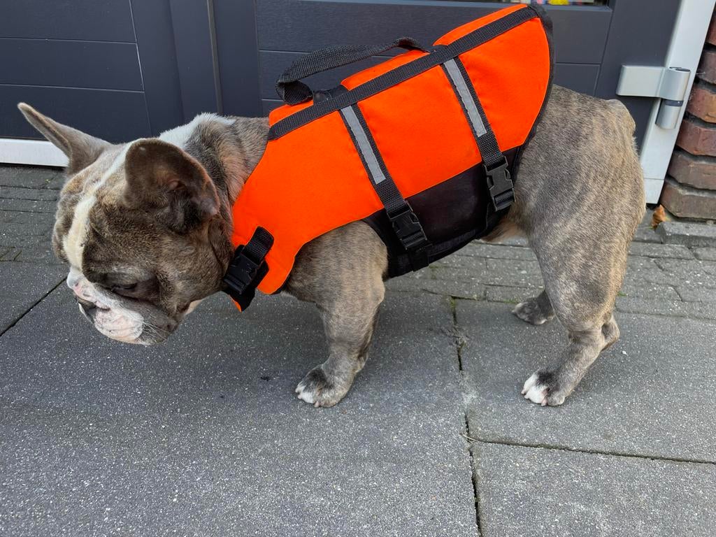 Honden/puppy zwemvest Flamingo, Ophalen, Zo goed als nieuw
